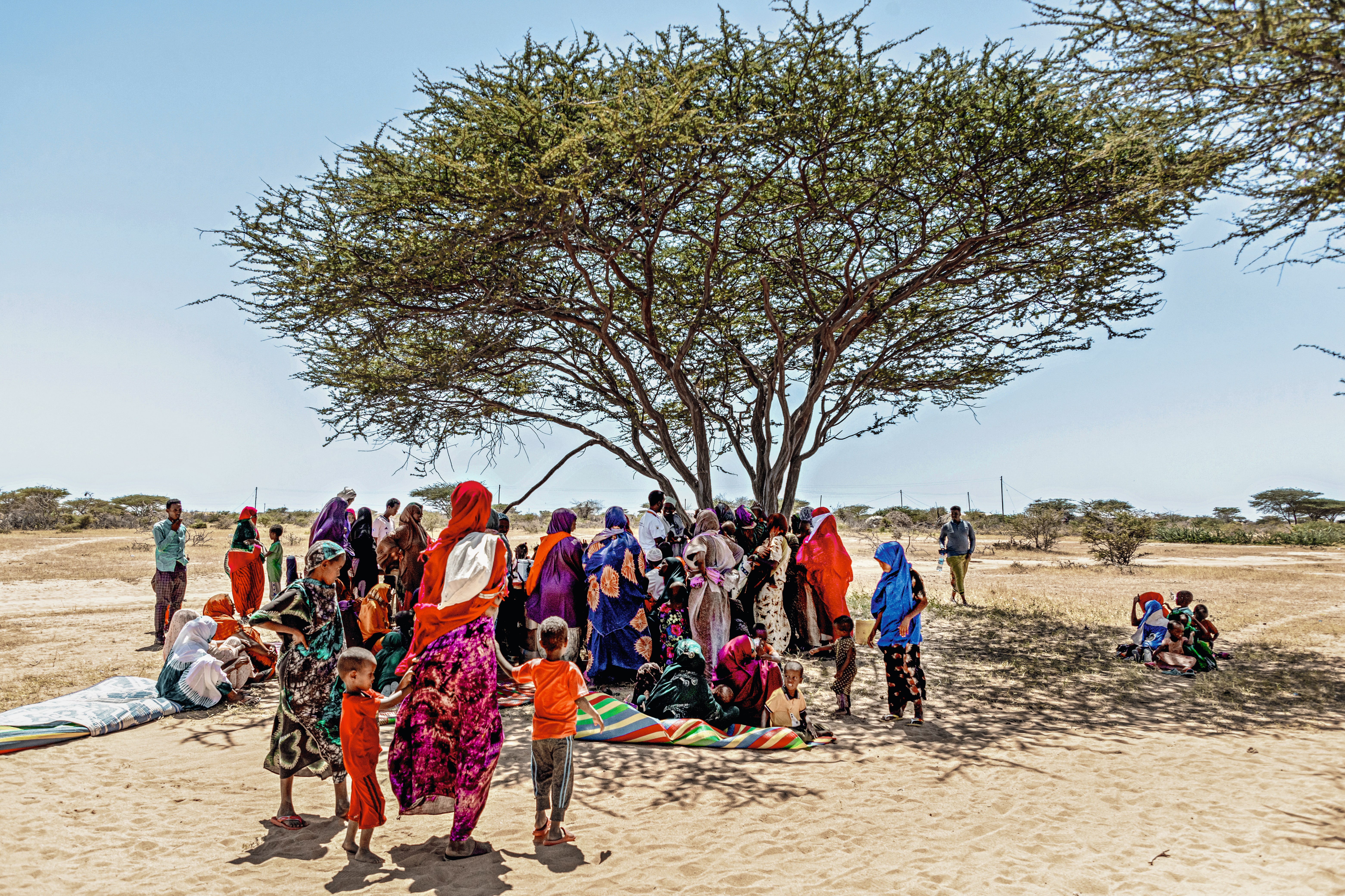 Mothers and children are huddled together in the shade of a tree, in the middle of a dry field.