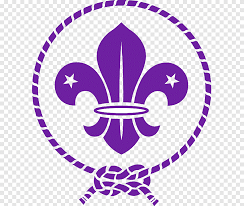 Scouts Scouts