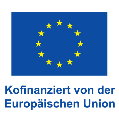 Europäische Union, Generaldirektion Europäische Union, Generaldirektion
