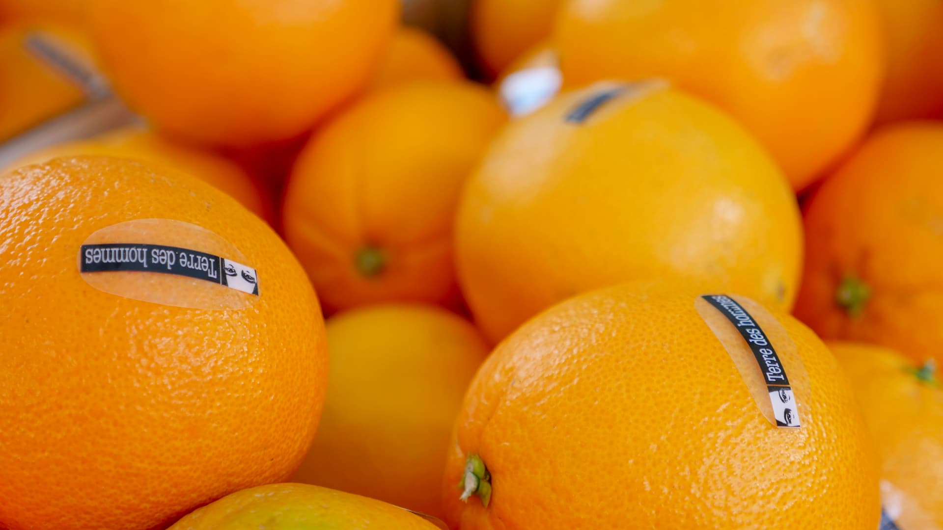 Vente d'oranges